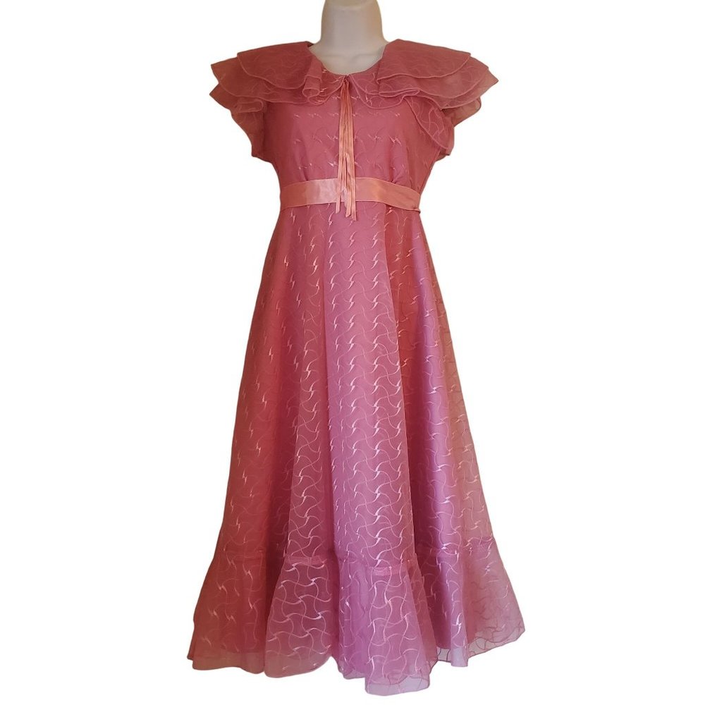 JC Penney 10 Pink Embroidered Vintage Prom Ruffles Bow Cosplay Sheer Overlay Chi